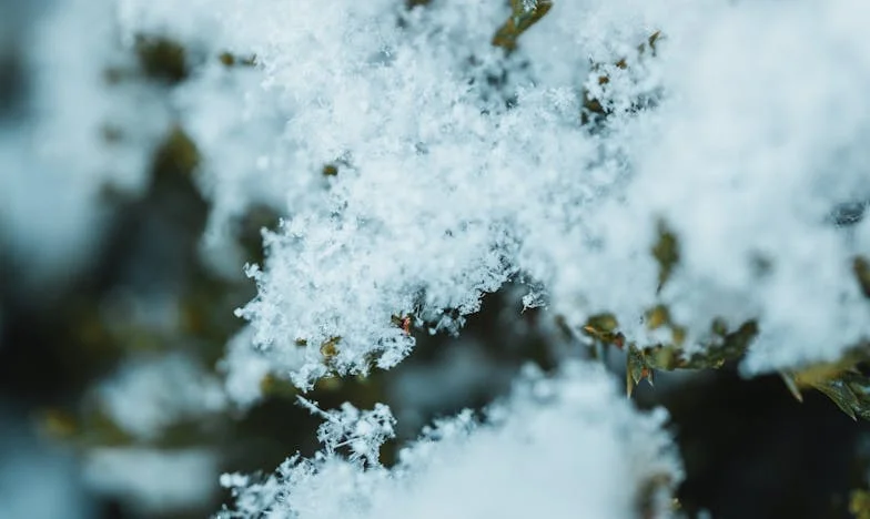 Moje urodziny, mój bunt – jak jeden wyjazd rozbił rodzinne układy