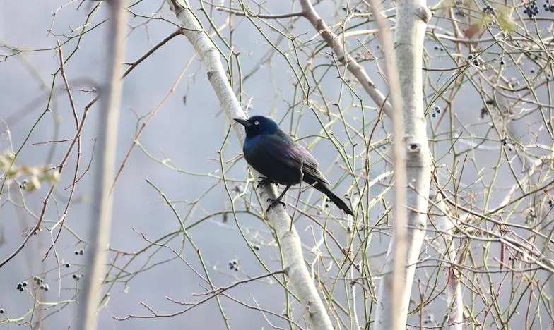 „Mojego syna zabrało pogotowie, mnie policja, a uśmiech męża zmienił wszystko” – Dramatyczna spowiedź warszawskiej matki o jednej nocy, która zniszczyła rodzinę