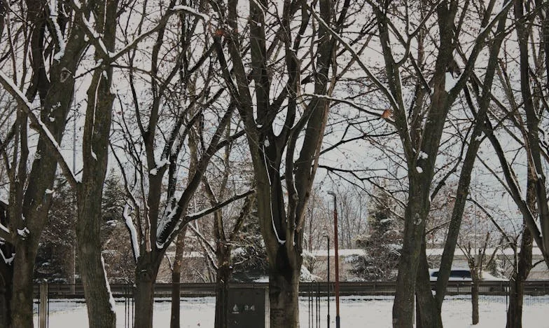 „Nakup sobie sam i gotuj, nie będę cię już dłużej utrzymywać.”: Mój krzyk o szacunek w małżeństwie, które przestało być partnerstwem