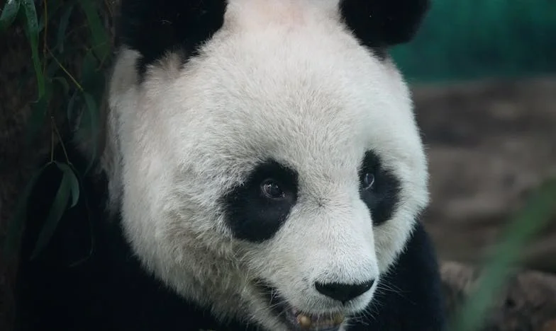 „Nie jesteś ładna, Martyna” – Słowa mojej matki, które zmieniły wszystko