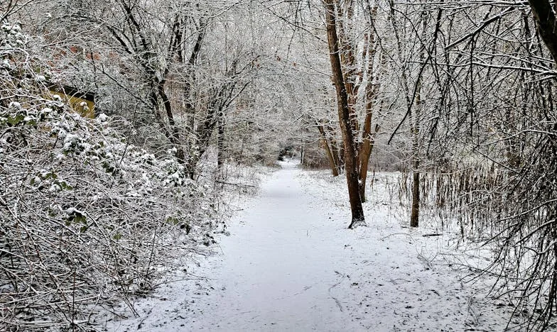 Ostatni dzień w domu rodzinnym – historia o rozstaniu, winie i przebaczeniu