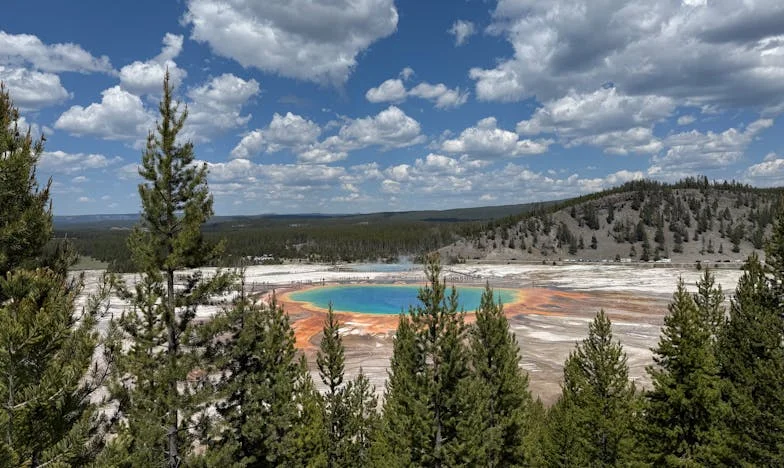 Pokonani przez wolność: historia pewnej fiolki