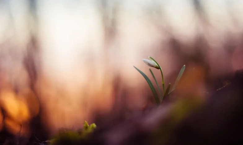 Sobota w Biedronce: Jeden moment, który zmienił wszystko – Moja walka o godność w świecie pełnym uprzedzeń