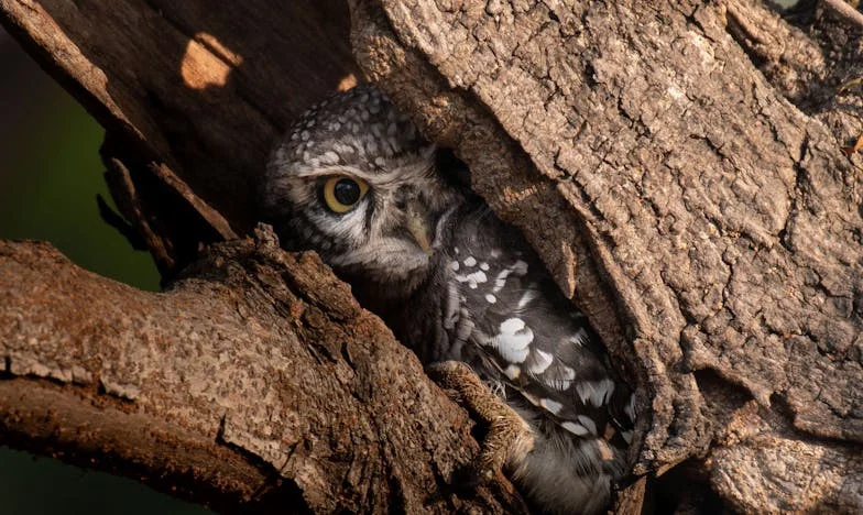 Wróciłam do domu i zastałam teściową grzebiącą w moich rzeczach. Czy można jeszcze zaufać rodzinie?