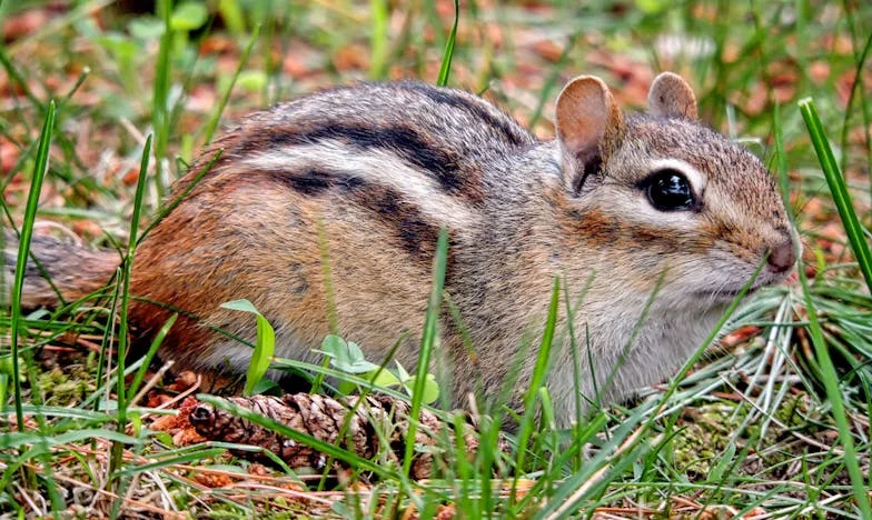 Z popiołów rodzinnych kłótni do światła: Moja droga z bezdomności do budowania wspólnoty