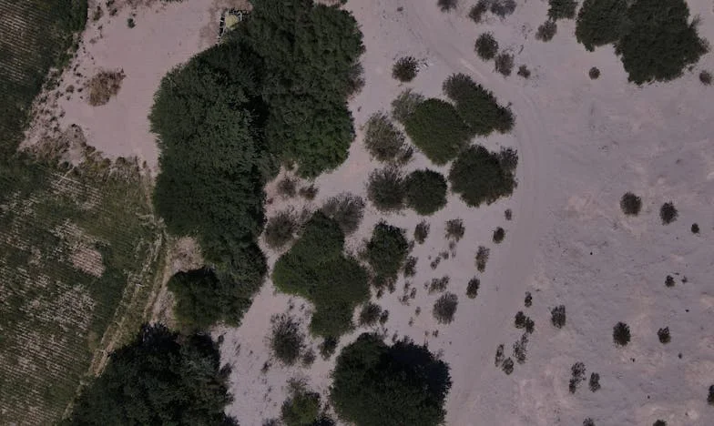 Zemsta Babci Laury na Kasjerce – Czy Warto Było?