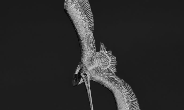 Zimowy rachunek – historia rodzinnej tajemnicy