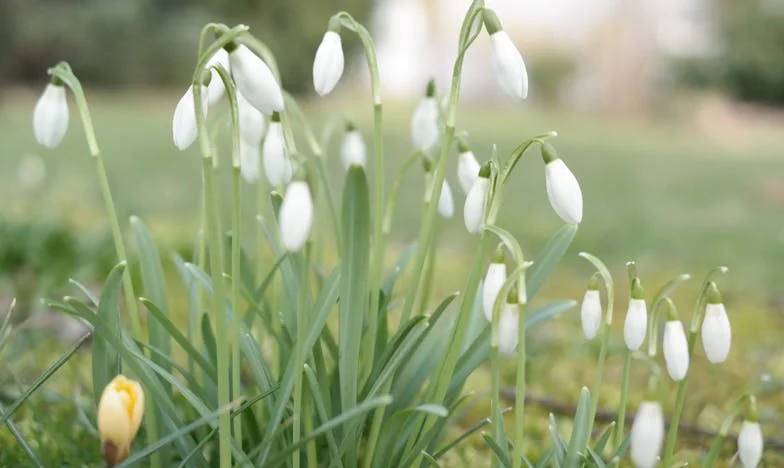 Kiedy przeszłość wraca: Opowieść o miłości, zdradzie i nowym początku