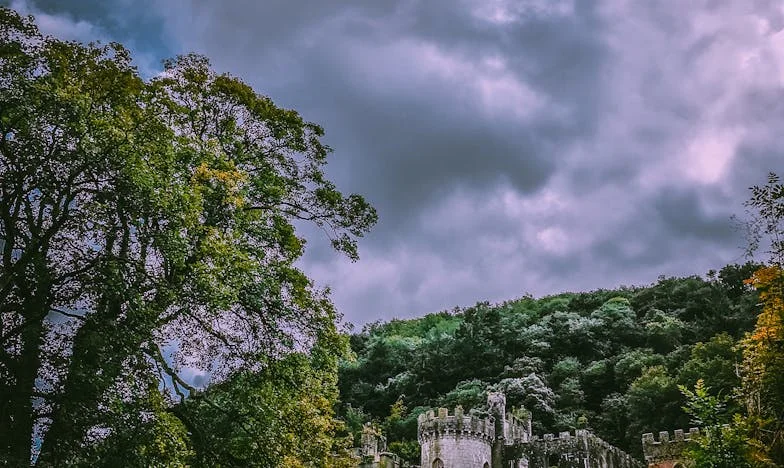 Mam 69 lat. Mój syn co miesiąc „wysyłał” mi pieniądze, ale ja nie dostałam ani złotówki. Dopiero nagrania z banku pokazały, kto naprawdę je brał