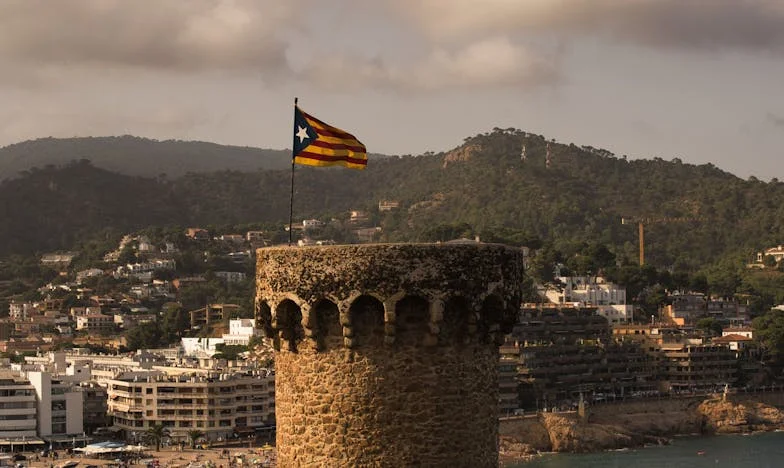 „Palmy w Palmie i mój lewy brzeg” — historia, której nie umiem już przemilczeć