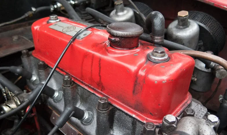 Przywieź wnuki, ale portfela nie zapomnij – rodzinny sekret w ogrodzie moich rodziców