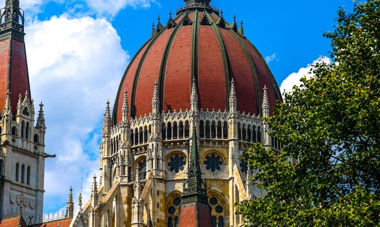 Znalazłem cieplejszą szyję – historia o zdradzie, rodzinie i poszukiwaniu siebie