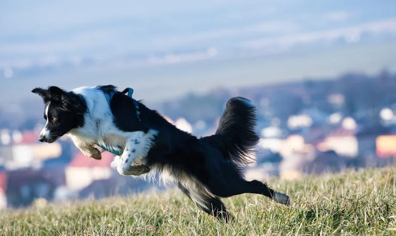 Babcia: Bliska, Obca, lecz Rodzinna