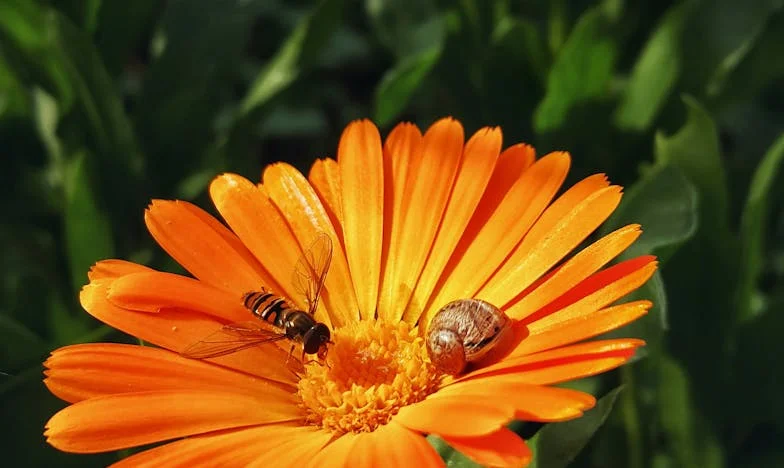 Babcia Opiekunka: Dlaczego Moja Mama Woli Dzieci Obcych Niż Wnuki?