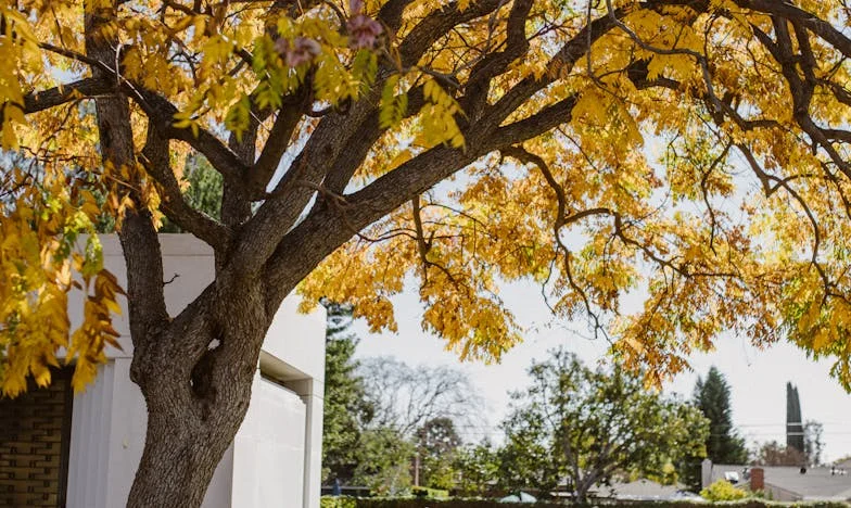 Babcia sama w zimnym domu, prześladowana słowami córki: „Już nie jesteś potrzebna”