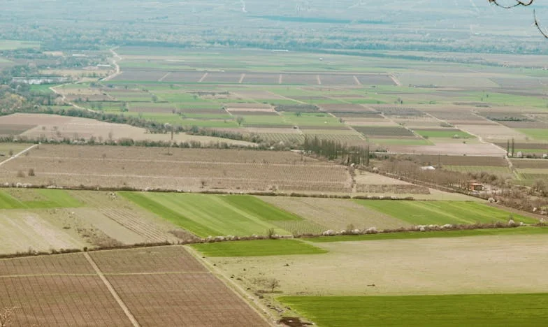Buduję dom dla teściowej – ale kto buduje mój własny dom?