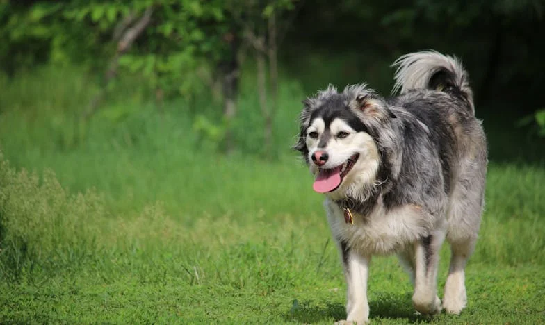 Czy naprawdę jestem problemem? Historia matki, która czuje się niechciana