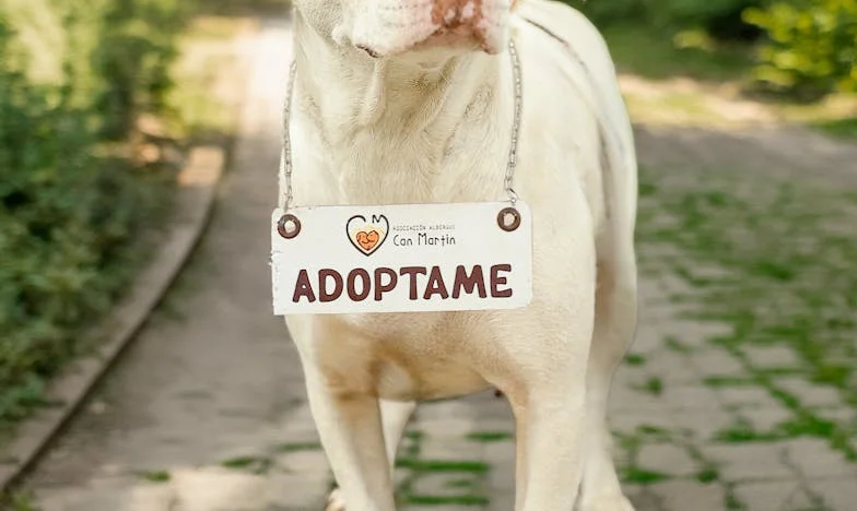 Kiedy miłość nie wystarcza: córka odsunęła mnie, gdy przestałam płacić