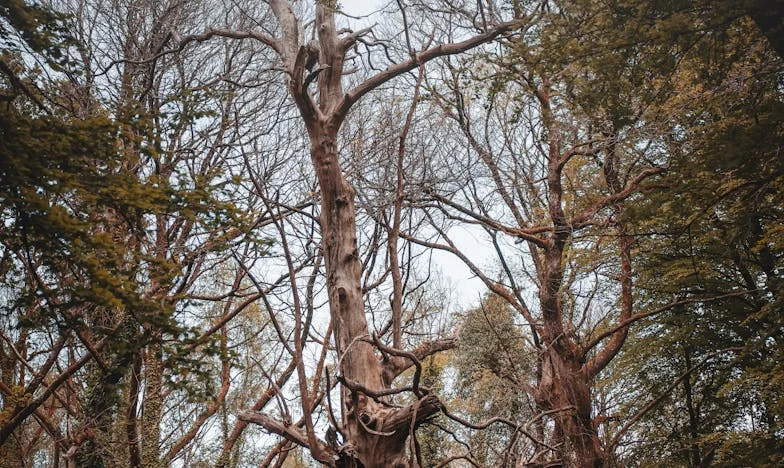 „Nie chcę być mamą!” – wyznanie mojej córki, które rozdarło mi serce