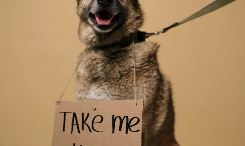 Nowe życie miało pachnieć wolnością. Zostały tylko gruz i cisza.