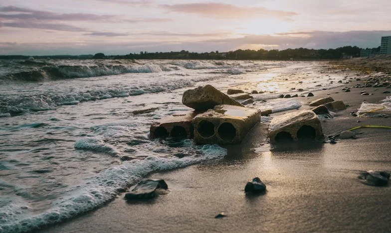 Odzyskany dom: Opowieść o starej chacie i rodzinnych więzach