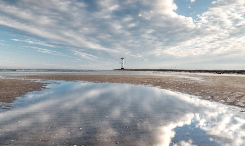 Ostatni Dzień Słońca: Historia Małego Wojtka
