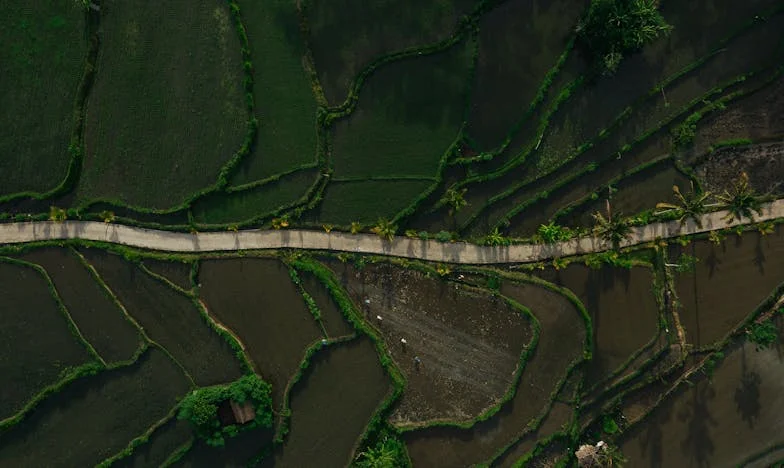 Poranek, który zmienił wszystko: Teściowa, śniadanie i nasze nowe życie