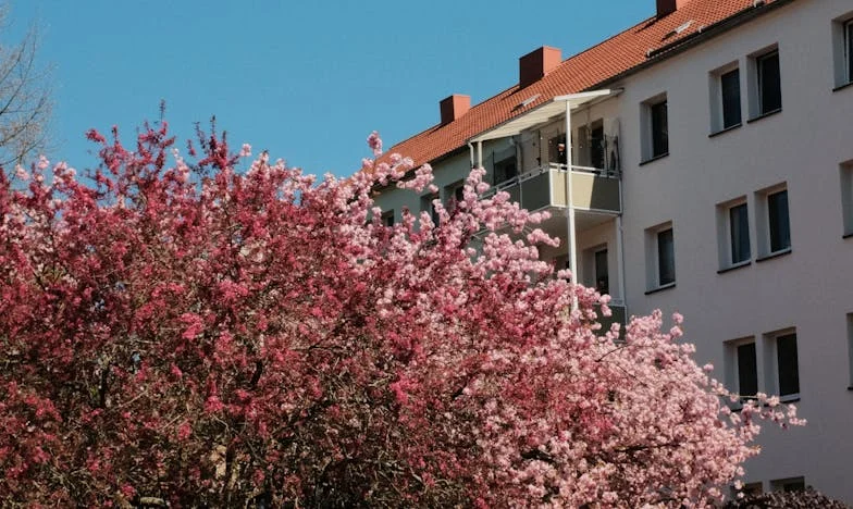 Wdowa i tajemnice: Życie po śmierci Pawła