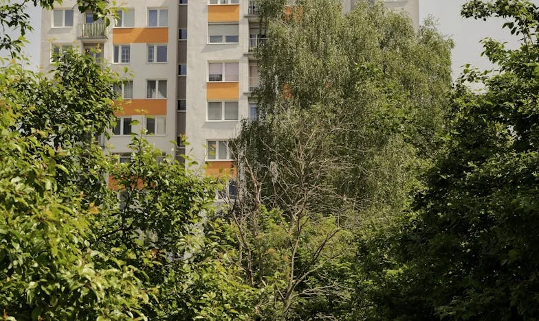 Zaczęłam żyć po swojemu w wieku 67 lat – historia Teresy