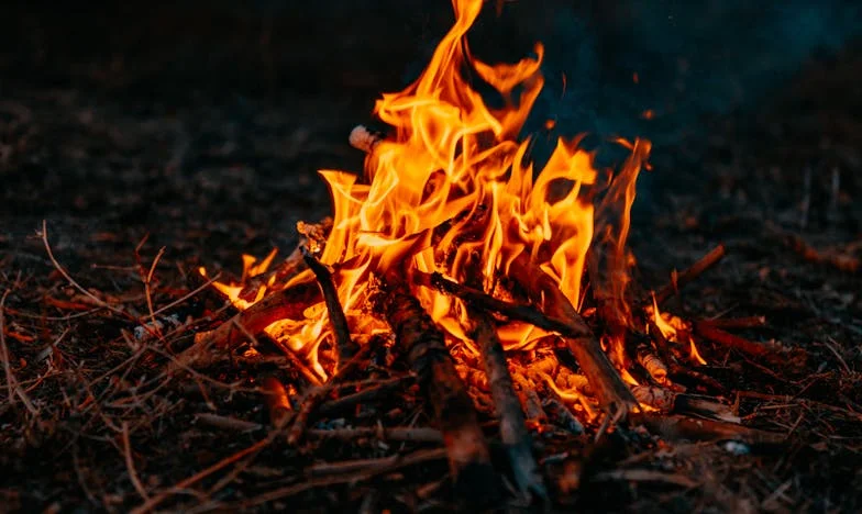Zaparzyłam herbatę, kiedy świat się skończył