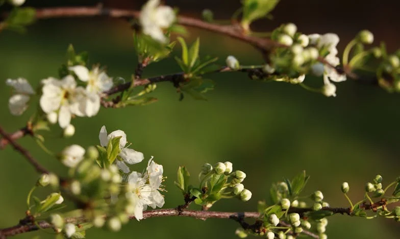 Zapomniana kartka z życzeniami: wróciłam do domu ze złamanym sercem