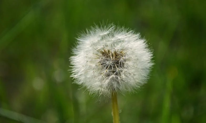 Zdrada przy weselnym stole: zdjęcia, które rozdarły mi rodzinę