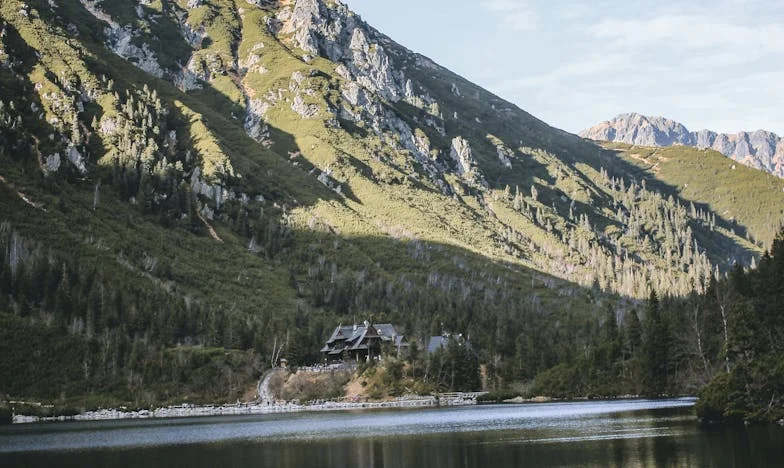 Złamane obietnice domu: Powrót, który nie był powrotem