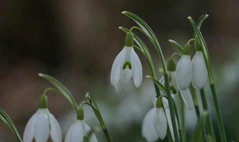 Dom dla Nadziei: gdy Wojtek kazał mi przestać oddychać za niego