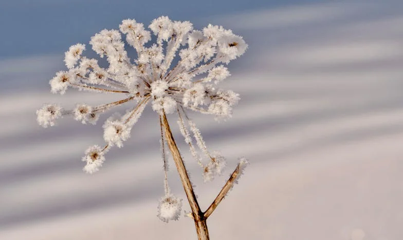 Gdybyś nie rozpieściła swojej córki, wciąż bylibyście razem: Historia jednej teściowej