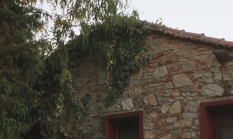 Gorzka propozycja teściowej: Kiedy zostałam sama z niemowlakiem – historia, która podzieliła moją rodzinę