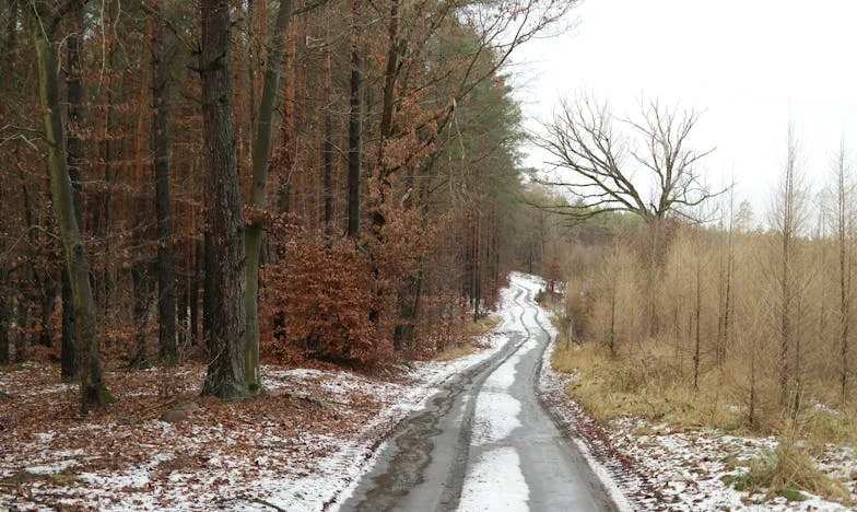 Jak jeden głupi serial rozbił moją rodzinę