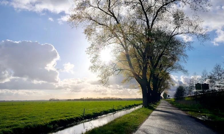 Kiedy Zobaczyli Mój Telefon: Noc w Hotelu Grand Regency