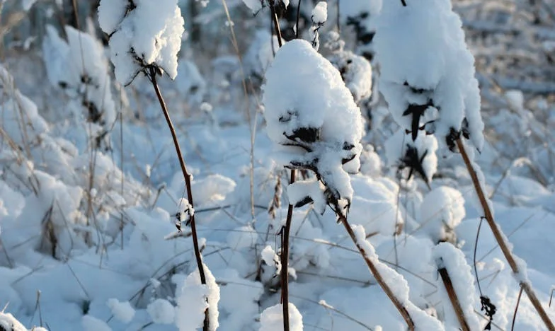 Mam czterdzieści lat i zostałam z ciszą: uwierzyłam żonatemu mężczyźnie i zapłaciłam za to całym życiem