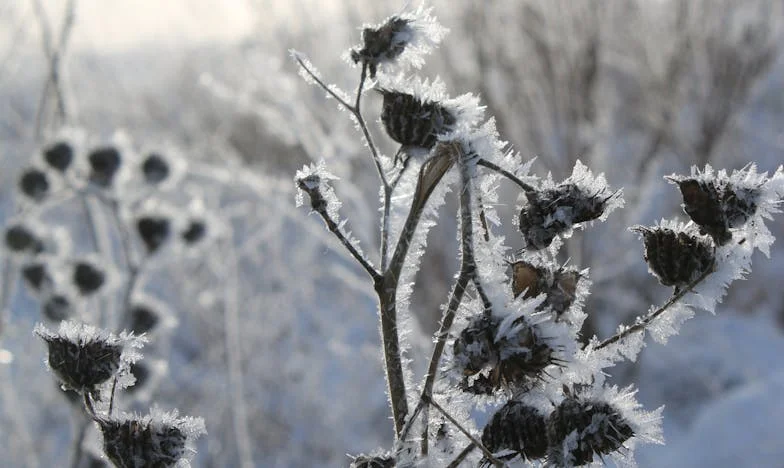 „Mamo, to tylko dwa miesiące” — a ja zostałam sama z ich całym latem
