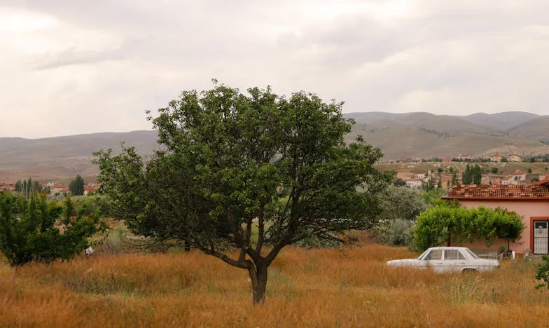 Nie jestem ani opiekunką, ani służącą: Dzień, w którym powiedziałam mojej córce, że mam własne życie