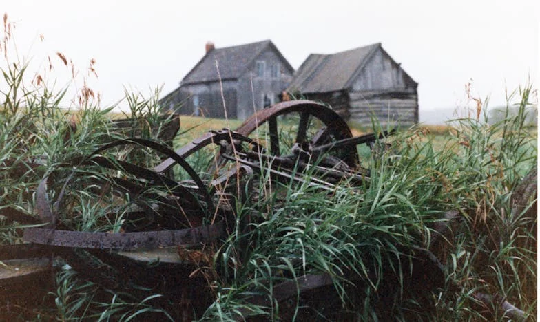Nie jesteś tu u siebie – opowieść o granicach i rodzinie