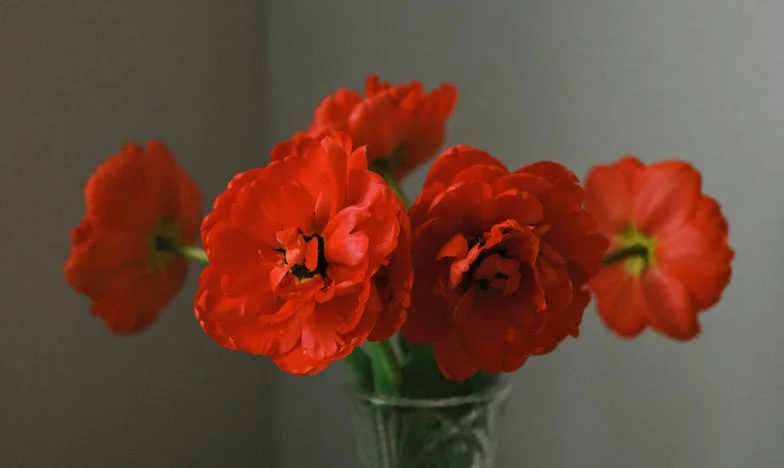 „Nie potrzebujemy takich rodziców?” — Moja historia o mieszkaniu, rodzinie i dumie