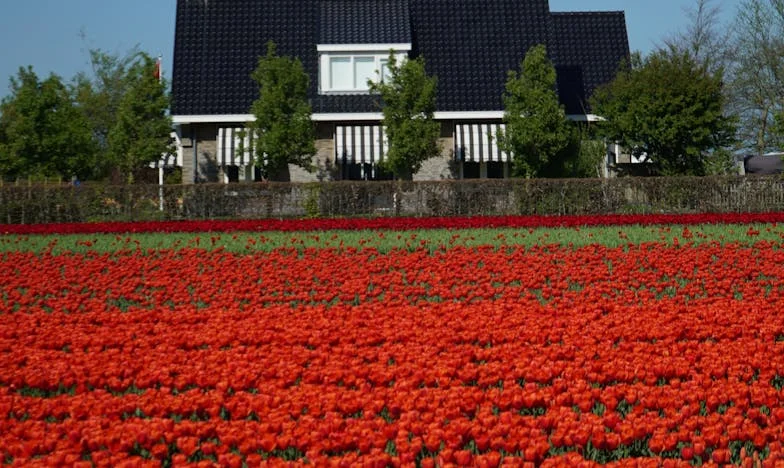 Niewidzialne Poświęcenia Wiktorii: Opowieść o Zdradzie i Odwadze