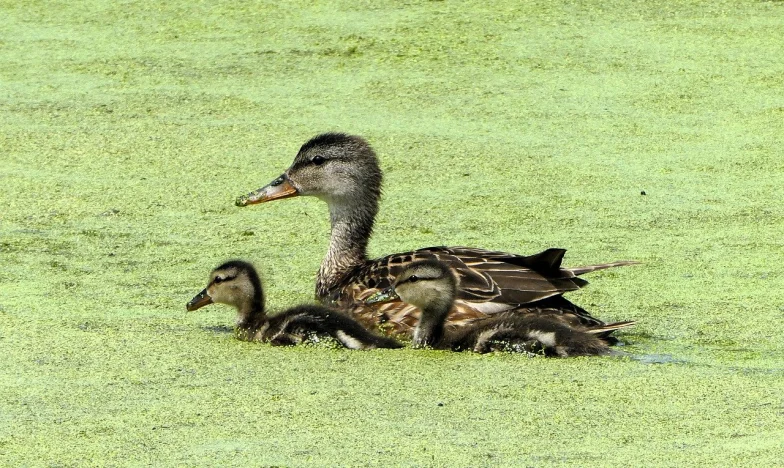 Nowa żona mojego syna rozbiła naszą rodzinę. Czy można jeszcze wszystko naprawić?
