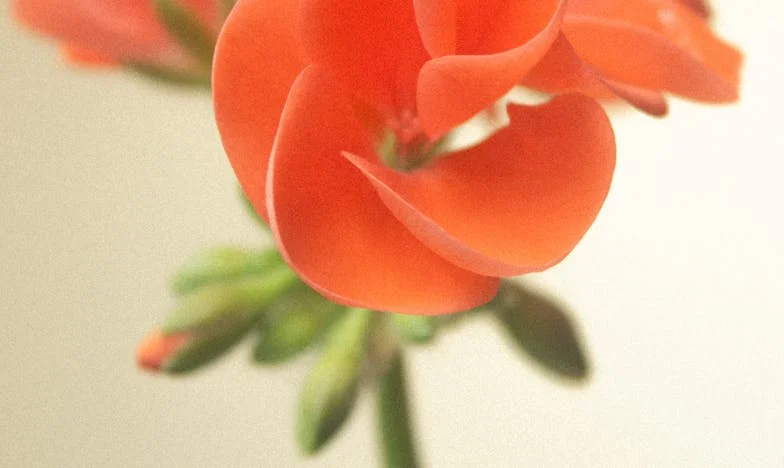 Pięć lat po rozwodzie, a teściowa wciąż żyje przeszłością