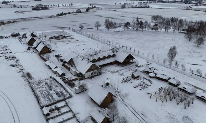Spotkanie z przeznaczeniem w Wiosce Leśnej