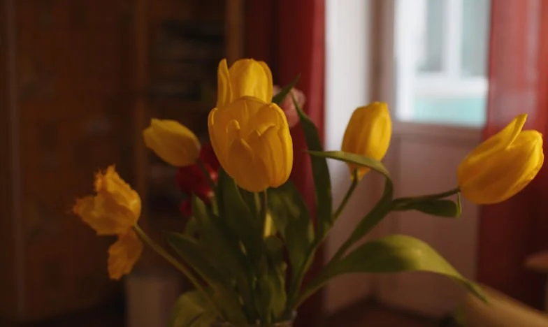 Sylwester, którego nie zapomnę: Synowa, której nikt się nie spodziewał