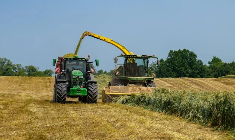 Tylko przyjaciele: Noc, która zmieniła wszystko