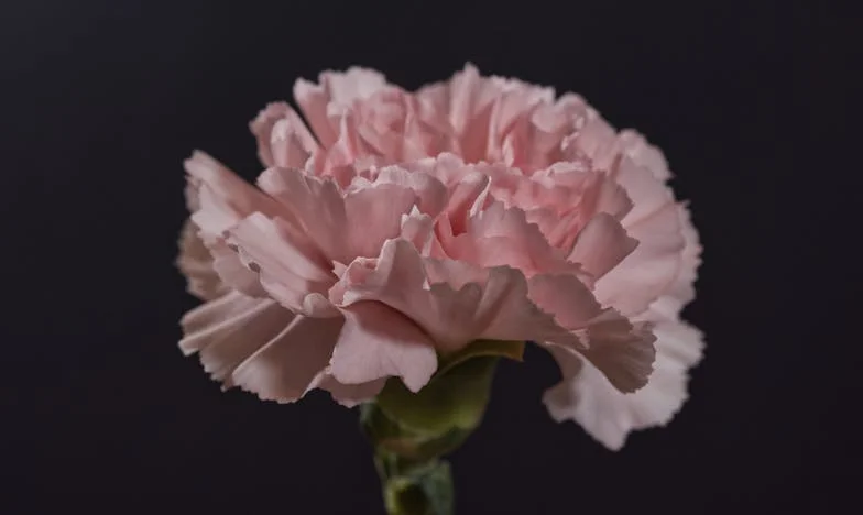 "Wtedy Teściowa Powiedziała: 'To Co, Umawiamy Się? Bierzesz Kredyt.' Wszyscy Mnie Zignorowali": Spakowałam Walizki i Wróciłam do Mamy